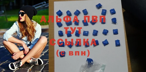 гашик Горняк