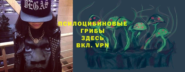 гашик Горняк