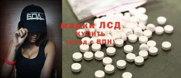 гашик Горняк