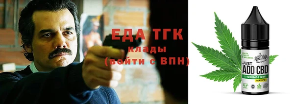гашик Горняк