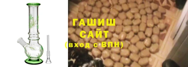 гашик Горняк