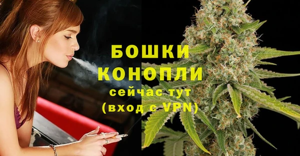 гашик Горняк