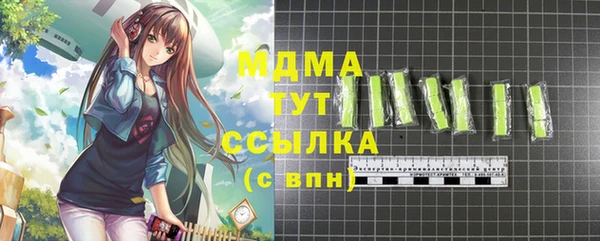гашик Горняк