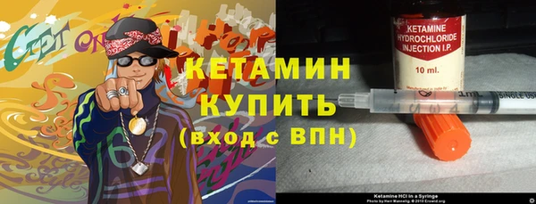 гашик Горняк