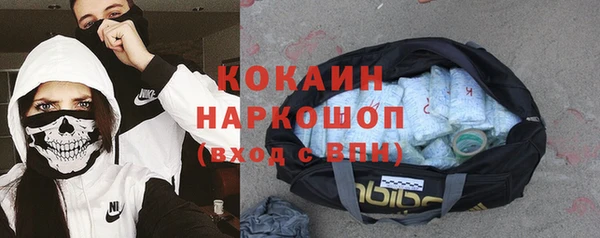 гашик Горняк