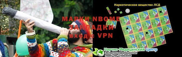 гашик Горняк