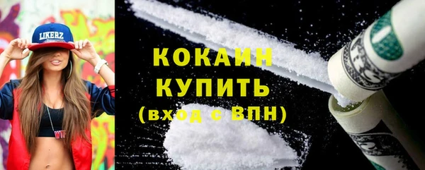 гашик Горняк