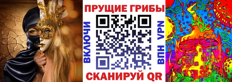 Купить закладки  Грозный  Галлюциногенные грибы GOLDEN TEACHER 